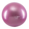 Gym Ball Soft 55cm